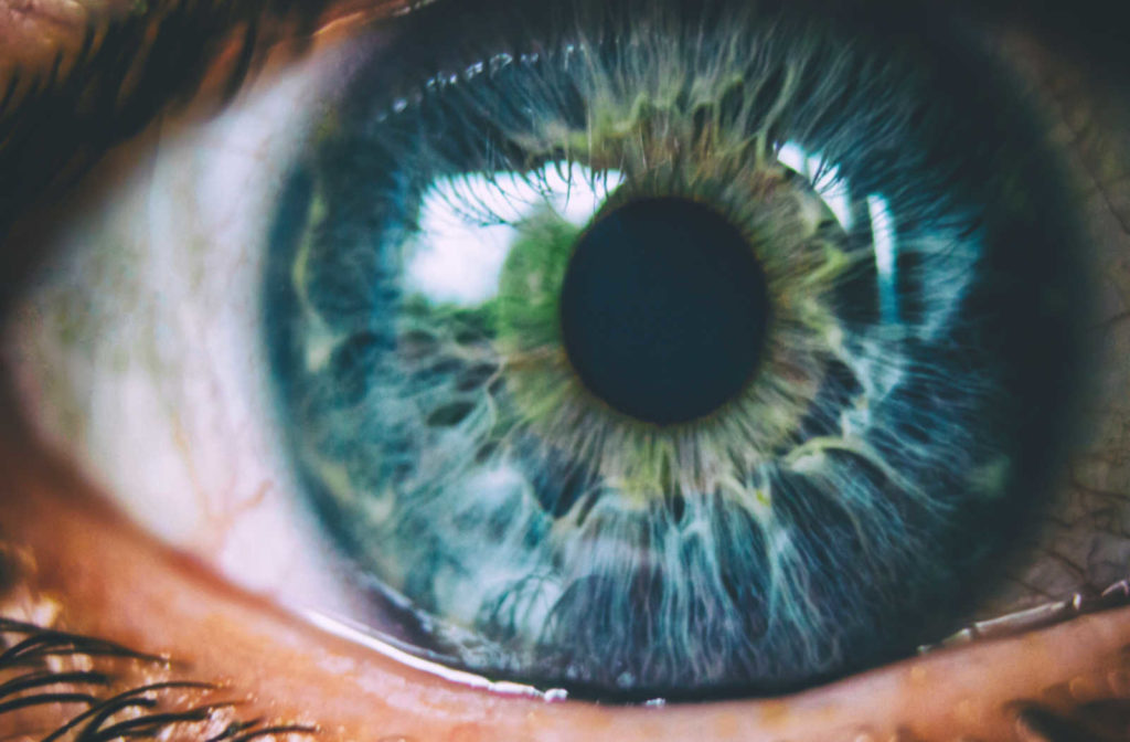 An extreme close up of an eye showing the pupil and a blue and green iris